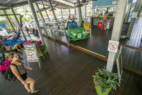 Roamer Magnetic Island Koala Park - Formerly Selina Magnetic Island - Accommodation Sunshine Coast 19