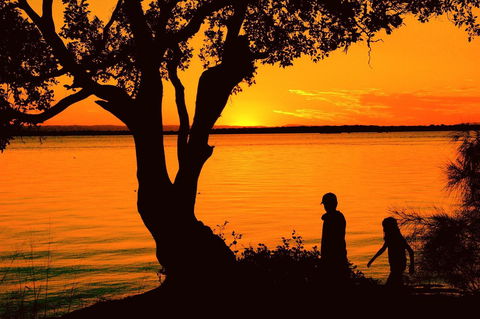 Lowset Sweetie, Central To Everything - Partridge St, Bongaree - Accommodation Sunshine Coast 1