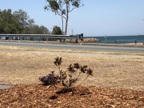 Bribie Waterways Motel - Accommodation Sunshine Coast 18