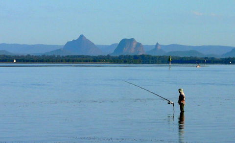 Fishing And Swimming At Your Doorstep - Sylvan Beach Esp, Bellara - Accommodation Sunshine Coast 11