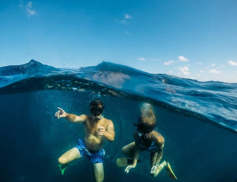 Manta Lodge YHA & Scuba Centre - Accommodation Sunshine Coast 12