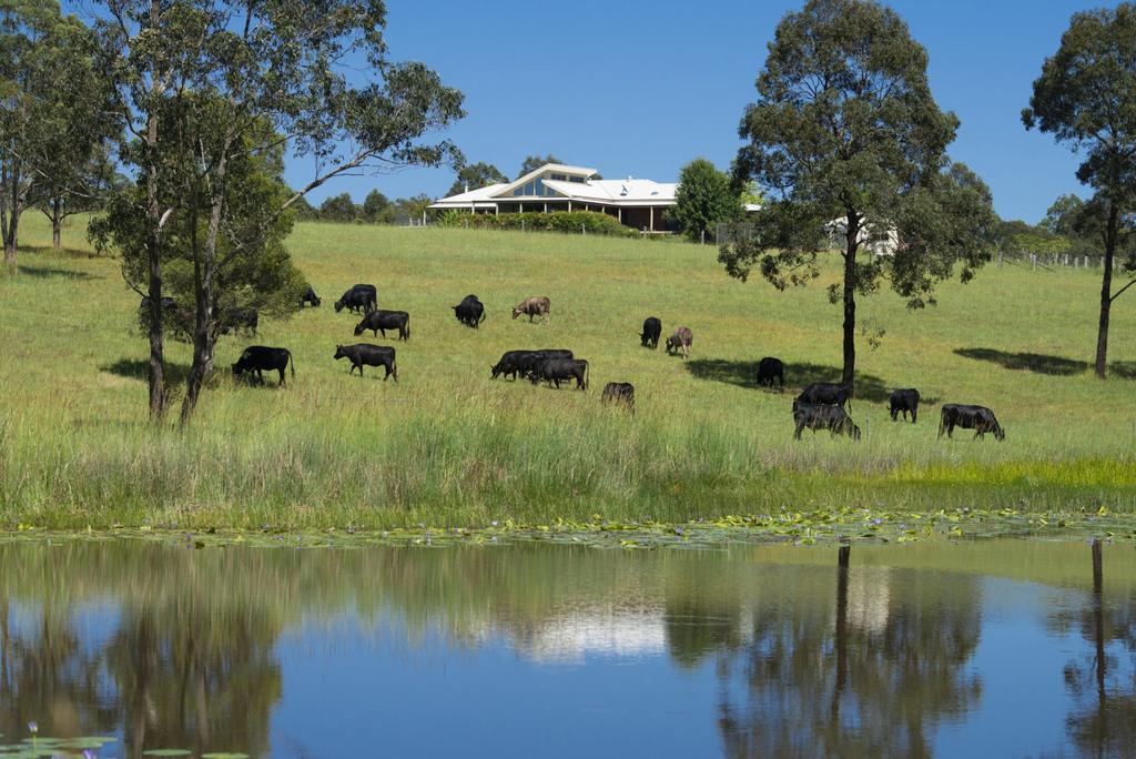 Wootton NSW Accommodation Sunshine Coast