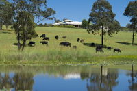 Book Nabiac Accommodation Vacations Accommodation Sunshine Coast Accommodation Sunshine Coast