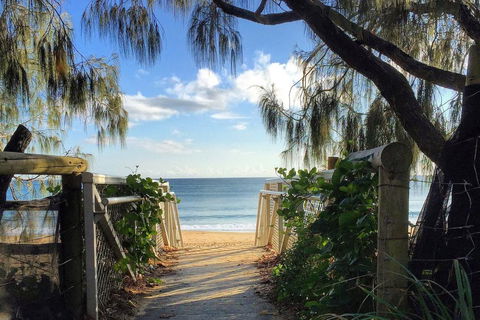 20 Steps To The Sand! - Accommodation Sunshine Coast 0