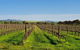 Belalie Wines - thumb 3