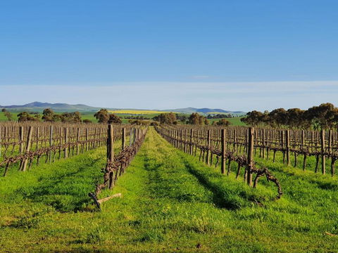 Belalie Wines - Accommodation Sunshine Coast 3