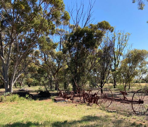 Belalie Wines - Accommodation Sunshine Coast 4