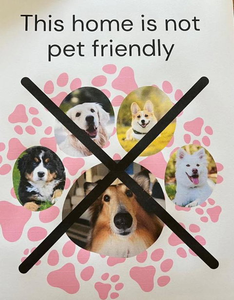 C4 Miles Beach Shack - Accommodation Sunshine Coast 2