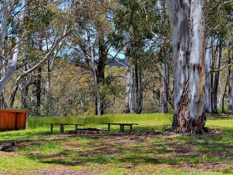 Cabin 3 - Snowy Accommodation - Accommodation Sunshine Coast 4
