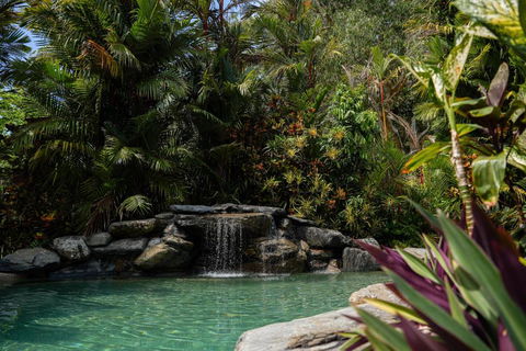 Daintree Beach Resort - Accommodation Sunshine Coast 3