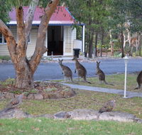 31 The Rocks - Accommodation Sunshine Coast