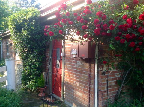 A Country Barn Retreat - Accommodation Sunshine Coast 2