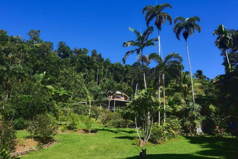 A Daintree Garden - Accommodation Sunshine Coast 0