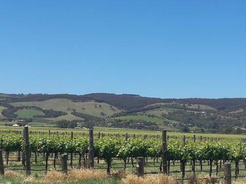 A Victor Harbour Retreat Aldinga Tony's Music Cottage - Accommodation Sunshine Coast 3
