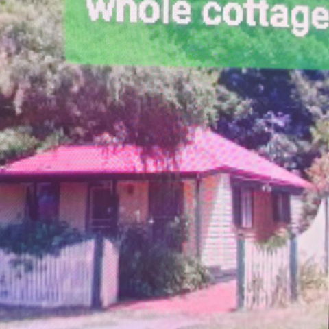 Abelia Cottages Botanical - Accommodation Sunshine Coast 3