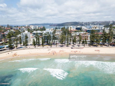 Accommodation Sydney North Shore: Frenchs Forest 3 Bedroom House - Accommodation Sunshine Coast 2