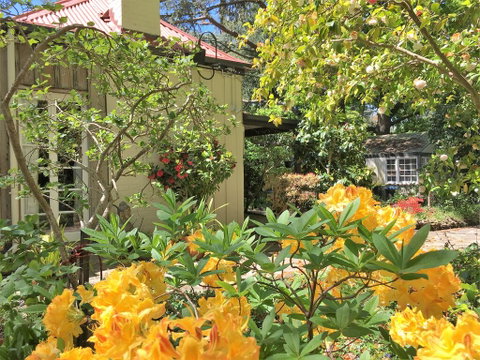 Adelaide Hills 'Camellia Cottage' - WiFi - Accommodation Sunshine Coast 1