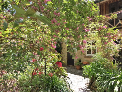 Adelaide Hills 'Camellia Cottage' - WiFi - Accommodation Sunshine Coast 2