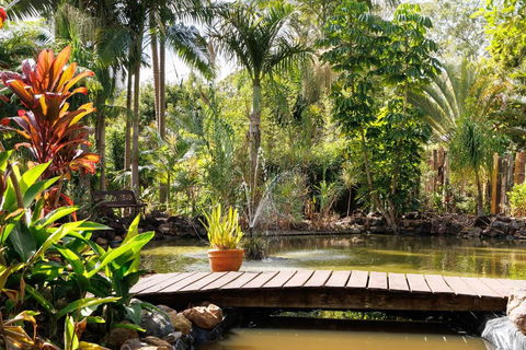 Eclectic Oasis In Doonan, Sunshine Coast - Accommodation Sunshine Coast 3
