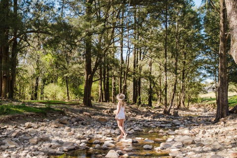EKhaya - The Barn - Accommodation Sunshine Coast 2