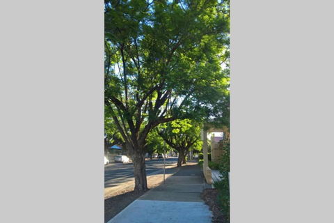 Gawler Heritage Accommodation - Accommodation Sunshine Coast 1