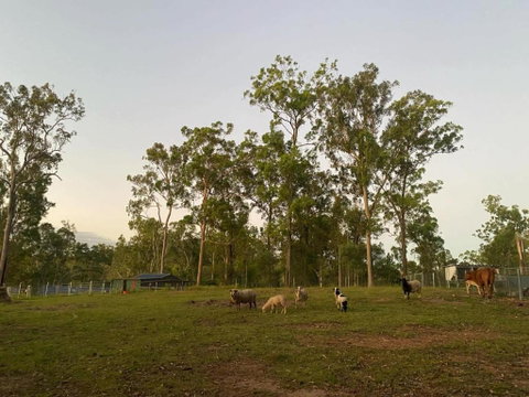 Gemmas Animal Farm By Tiny Away - Accommodation Sunshine Coast 1