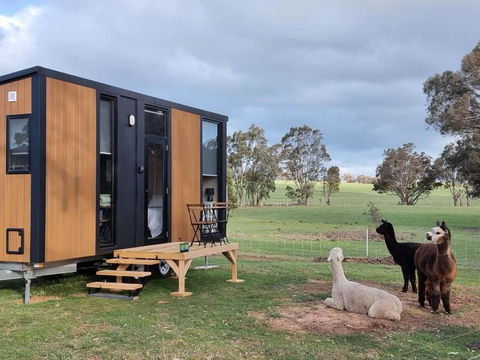 Grampians Views Moyston By Tiny Away - Accommodation Sunshine Coast 0