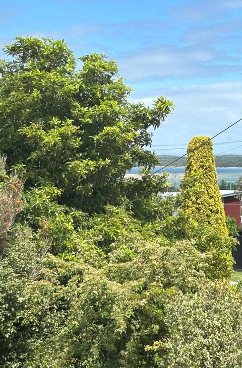 Iconic Beach House On Bruce - Accommodation Sunshine Coast 1