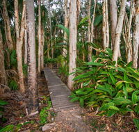 Agnes Palms Accommodation - Accommodation Sunshine Coast