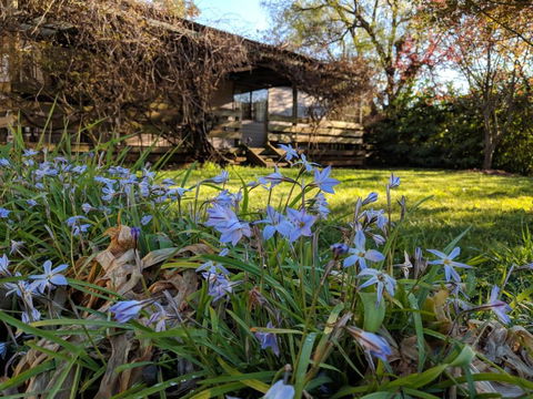 Alexander Cottage - Accommodation Sunshine Coast 3