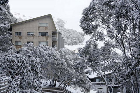 Alpine View Apartments - Accommodation Sunshine Coast 0