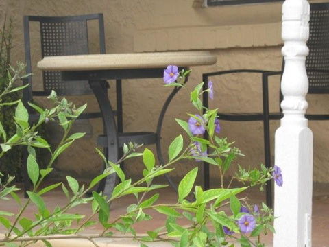 Amalie Cottage Waikerie - Accommodation Sunshine Coast 0