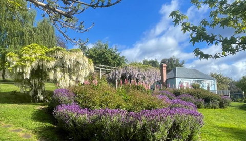 Maple Hill Cottage - Accommodation Sunshine Coast 1