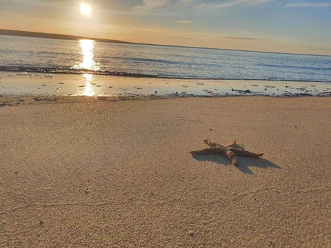 Matildas Of Kangaroo Island - Accommodation Sunshine Coast 1
