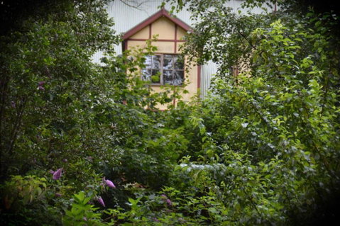 Mountain Lodge - Accommodation Sunshine Coast 2