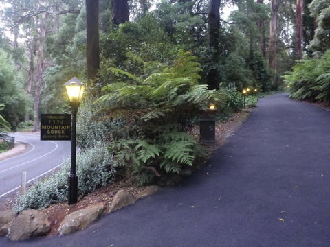 Mountain Lodge - Accommodation Sunshine Coast 3