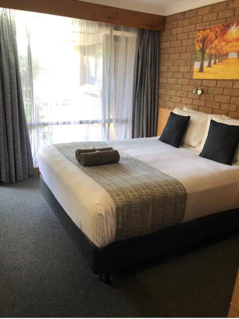 Muswellbrook Motor Inn - Accommodation Sunshine Coast 2