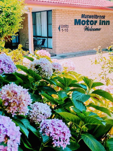 Muswellbrook Motor Inn - Accommodation Sunshine Coast 0