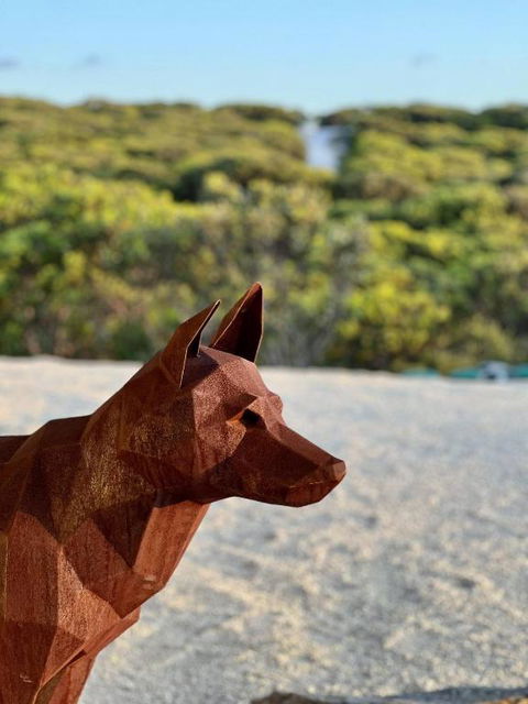 Native Dog Cabin - Accommodation Sunshine Coast 2