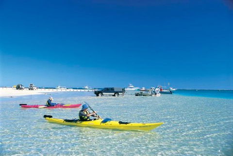 Ningaloo Club Backpackers - Accommodation Sunshine Coast 2