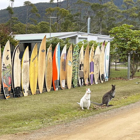 NOFOMO AT ADVENTURE BAY - Accommodation Sunshine Coast 0
