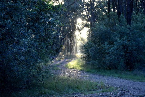 On Bell Glamping - Accommodation Sunshine Coast 3