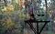 On Bell Glamping - thumb 2