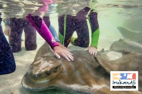 Peace In Paradise Near Nelson Bay- Waterviews, Spa, Adventures - Accommodation Sunshine Coast 2