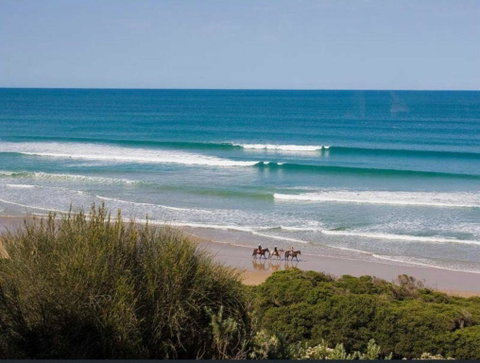 Pelican Views - Fairhaven - Accommodation Sunshine Coast 3