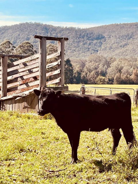 Peppercorns Riverside Farm Stay - Accommodation Sunshine Coast 0