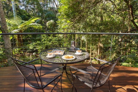 Pethers Rainforest Retreat - Accommodation Sunshine Coast 3