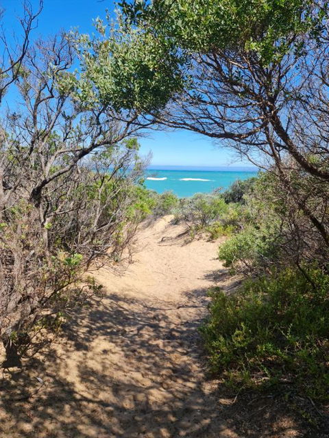 PIECE OF PARADISE, Huge 4 Bedroom Haven - Accommodation Sunshine Coast 0