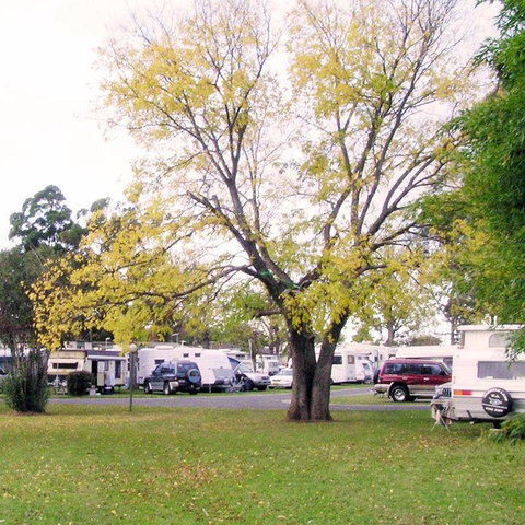 Poplar Tourist Park - Accommodation Sunshine Coast 2