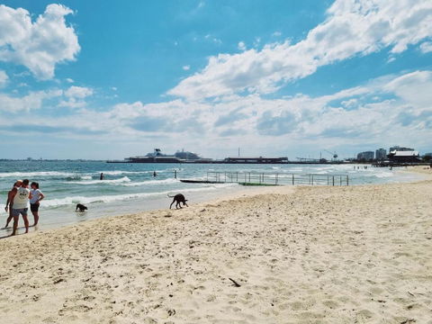 Port Melbourne Dog Beach Stays - Accommodation Sunshine Coast 2